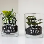 Vendégház Santa Catarina