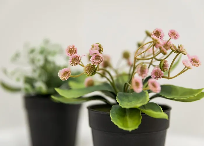 Pensión Santa Catarina 3*