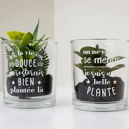 Gæstehus Santa Catarina